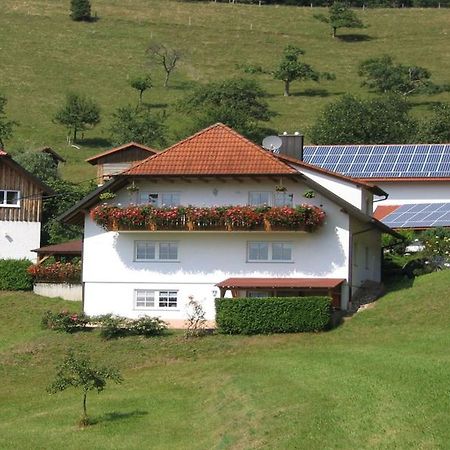 Ferienwohnung Burgblick Seelbach  Exteriér fotografie