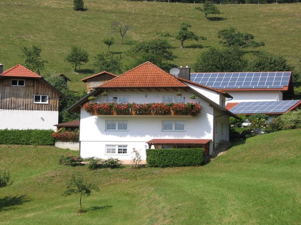 Ferienwohnung Burgblick Seelbach  Exteriér fotografie