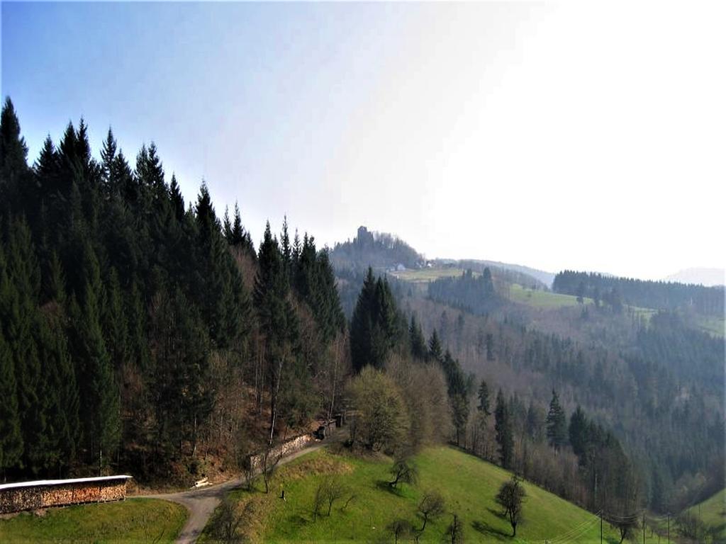 Ferienwohnung Burgblick Seelbach  Exteriér fotografie