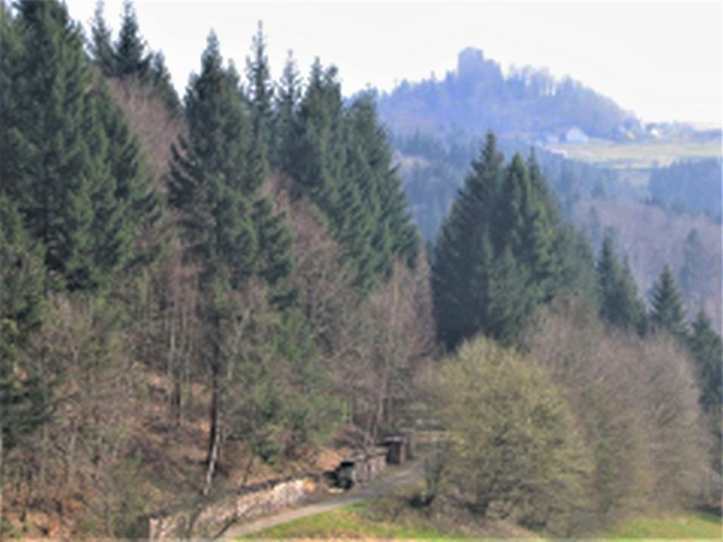 Ferienwohnung Burgblick Seelbach  Exteriér fotografie