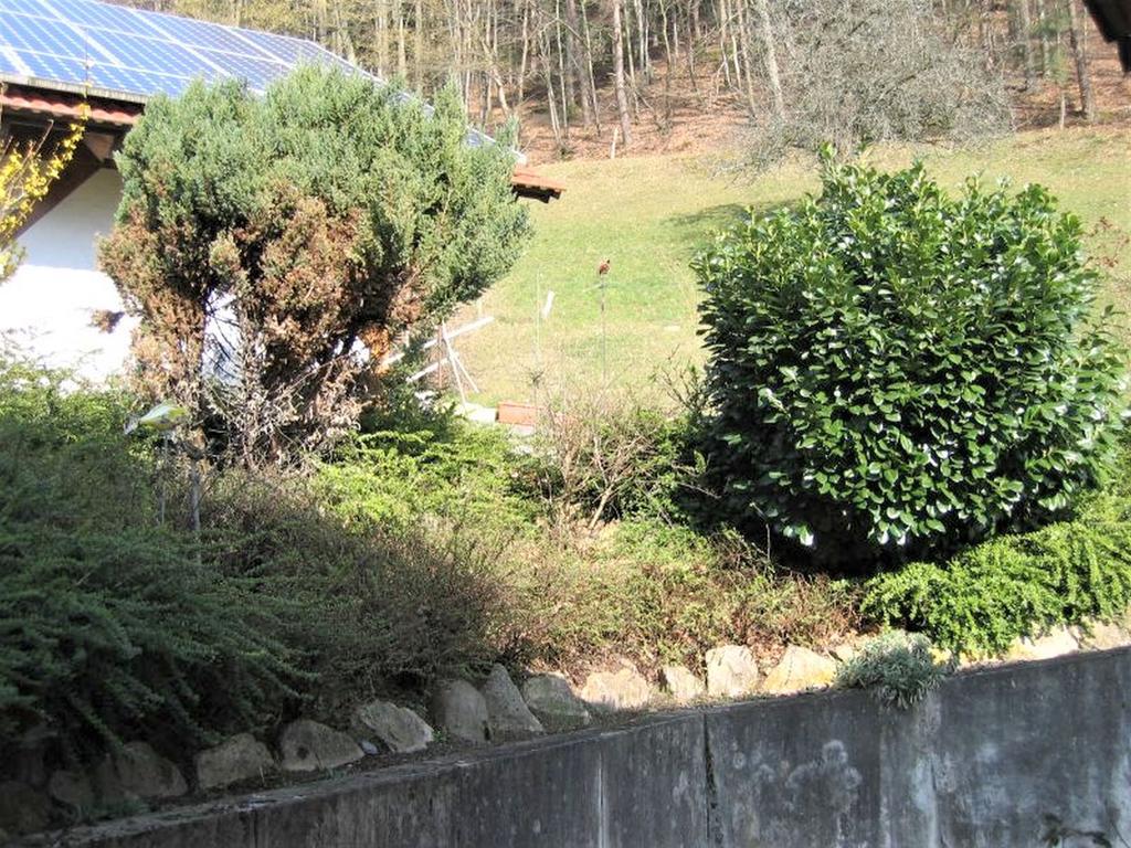 Ferienwohnung Burgblick Seelbach  Exteriér fotografie